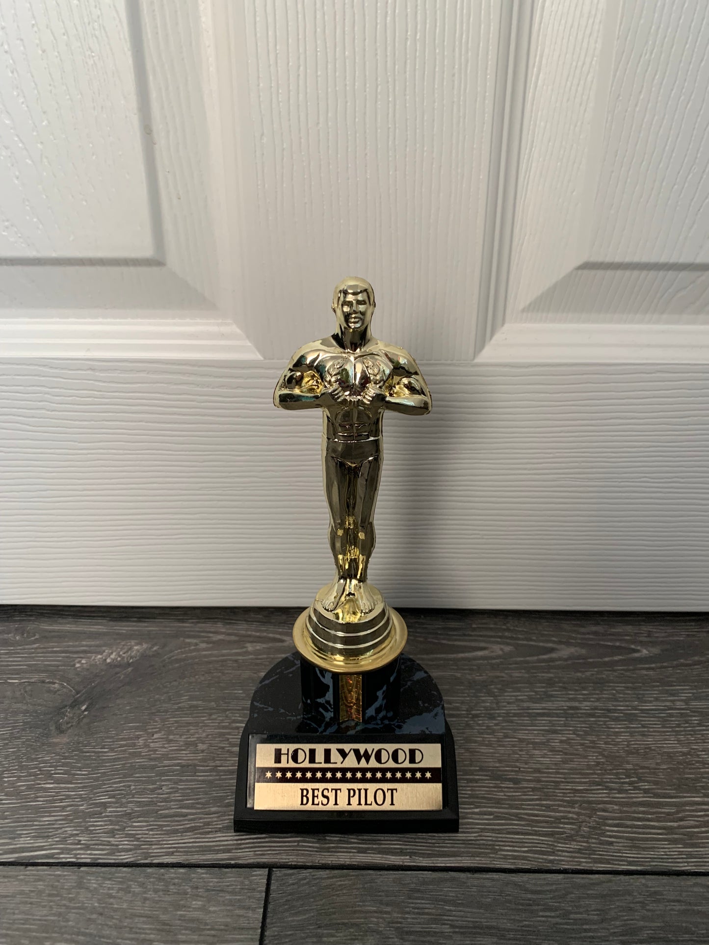 Oscar Hollywood Award Trophy Replica -Best Pilot