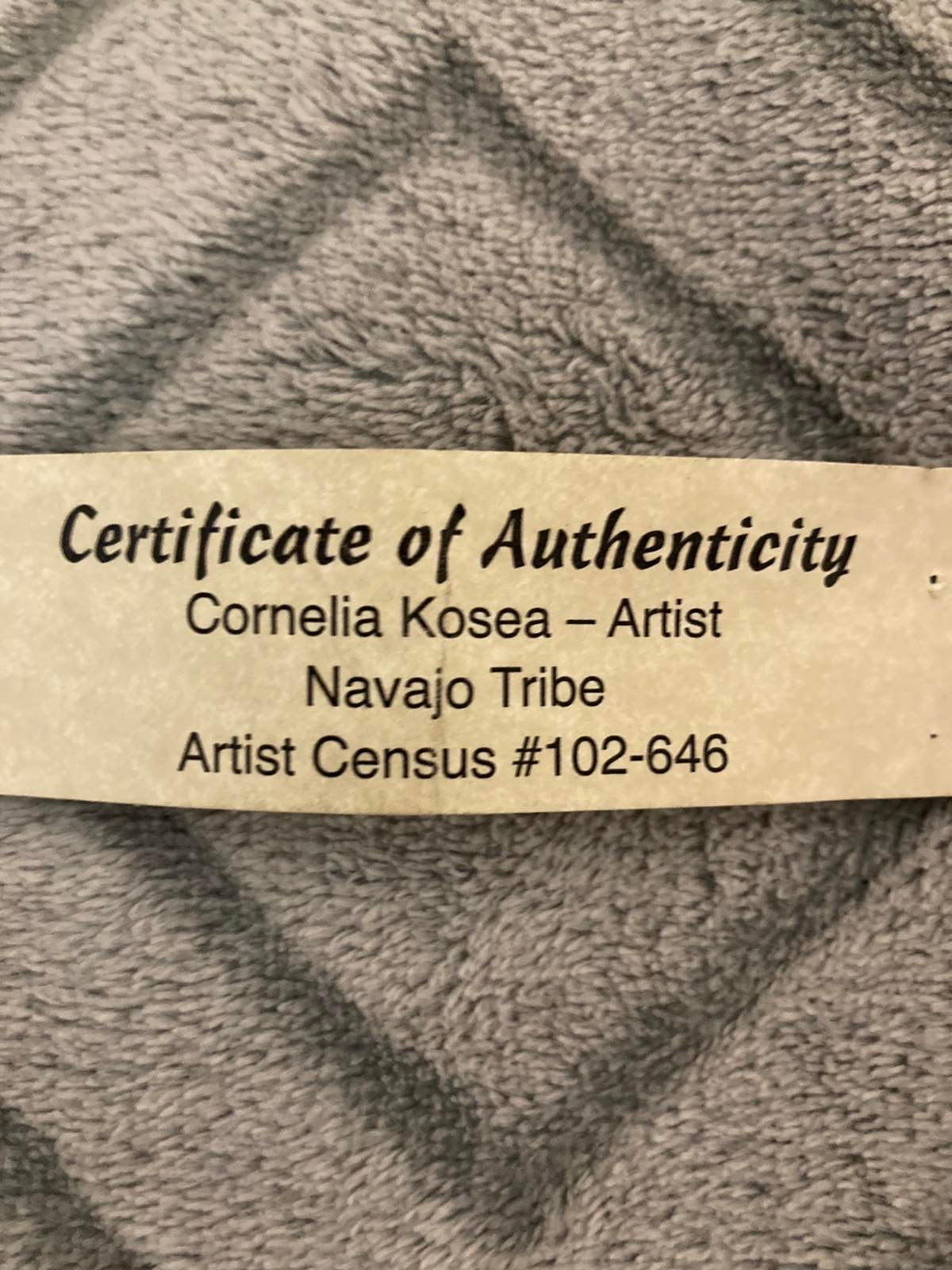 Native American Indian Dreamcatcher Large